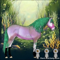 Horse Color:Watercolor Buckskin Onyx