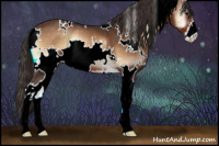 Horse Color:White Spotted Liver Red Onyx Sabino Appaloosa 