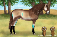 Horse Color:Red Onyx 