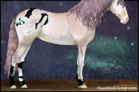 Horse Color:Watercolor Perlino Onyx Sabino Appaloosa