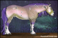 Horse Color:Watercolor White Spotted Buckskin Onyx 