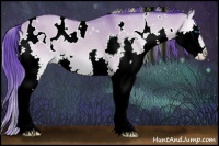 Horse Color:Watercolor White Spotted Buckskin Onyx Splash 