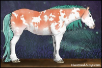 Horse Color:Watercolor White Spotted Buckskin Onyx Splash Rabicano