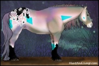 Horse Color:Watercolor Red Onyx Appaloosa 