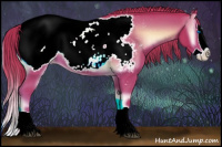 Horse Color:Watercolor Red Onyx Splash Appaloosa 