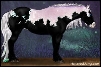 Horse Color:Watercolor Silver Buckskin Roan Onyx Splash Appaloosa 
