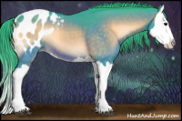 Horse Color:Watercolor Brown Onyx Splash Appaloosa 