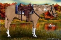 Horse Color:Chestnut Tobiano