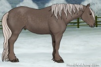 Horse Color:Silver Black 