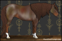 Horse Color:Gray Chestnut 