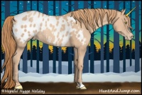 Horse Color:Gold Champagne Appaloosa