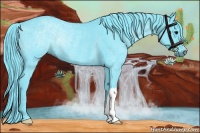 Horse Color:Watercolor Black Rabicano 
