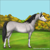 Horse Color:Platinum White Spotted Bay Dun Rabicano