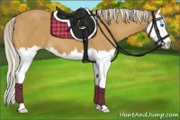 Horse Color:Palomino Splash 