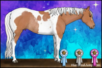 Horse Color:Silver Bay Tobiano Rabicano