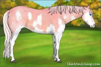 Horse Color:Watercolor Chocolate Palomino Splash 