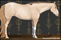 Horse Color:Gold Champagne Pearl