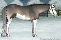 Horse Color:Blue Onyx Splash 