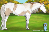 Horse Color:Red Dun Splash Brindle and Smoky Creme Dun Splash Brindle