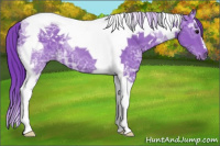 Horse Color:Watercolor Black Ice Tobiano 