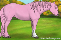 Horse Color:Watercolor Black 
