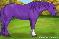 Horse Color:Watercolor Black 