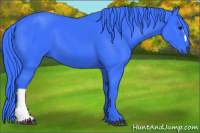 Horse Color:Watercolor Black 