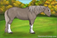 Horse Color:Silver Grullo 