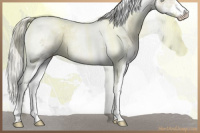 Horse Color:Chocolate Palomino Ice Pearl Mushroom Sabino Splash Tobiano Rabicano 