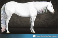 Horse Color:Nacre White Spotted Silver Grullo Chinchilla Sabino Splash Blanket 