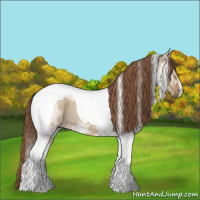 Horse Color:Red Dun Ice Tobiano 