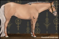 Horse Color:Chocolate Silver Sable Champagne 