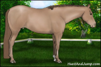 Horse Color:Black Pearl