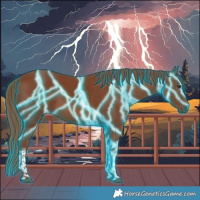 Horse Color:Thunderstruck Chestnut Tobiano