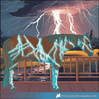 Horse Color:Thunderstruck Chestnut Tobiano 