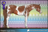 Horse Color:White Spotted Chestnut Tobiano 