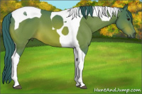 Horse Color:Watercolor Brown Tobiano 