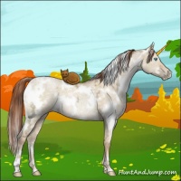 Horse Color:White Spotted Buckskin Ice Pearl Dun Brindle 
