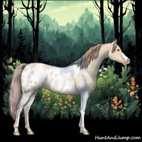 Horse Color:Gold Champagne Dun Appaloosa 