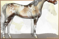 Horse Color:White Spotted Liver Red Onyx Mushroom 