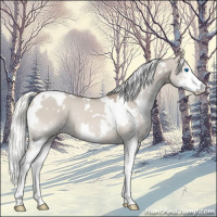 Horse Color:White Spotted Liver Red Dun Mushroom Sabino Splash 