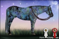 Horse Color:ERROR: UNKNOWN ANOMALY and ERROR: UNKNOWN ANOMALY