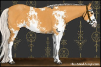 Horse Color:Silver Buckskin Sabino 