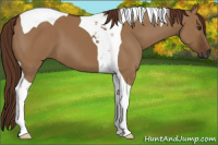 Horse Color:Gray Red Dun Tobiano 