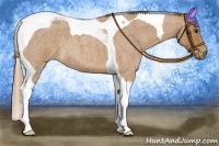 Horse Color:Red Roan Tobiano 