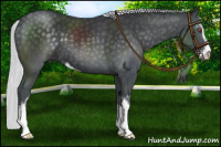 Horse Color:Silver Black Chinchilla Sabino 