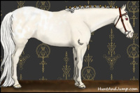 Horse Color:Silver Smoky Black Chinchilla Pearl Blanket