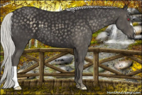 Horse Color:Silver Smoky Black Chinchilla 