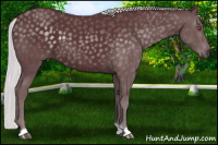 Horse Color:Chocolate Silver Black Chinchilla 