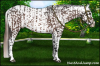 Horse Color:Bay Roan Sabino Splash Varnish  and Amber Champagne Roan Sabino Splash Varnish 
